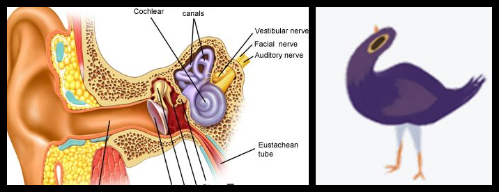 Visual-Aural Induction