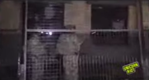 Minneapolis 5/27 - 5/28