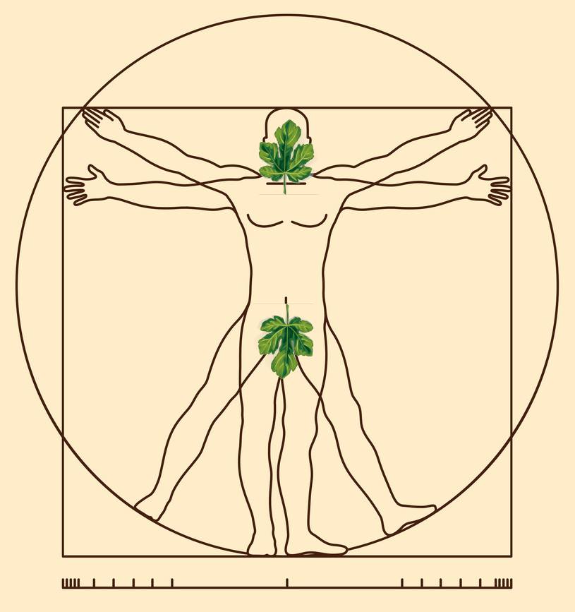 Farther out from the garden