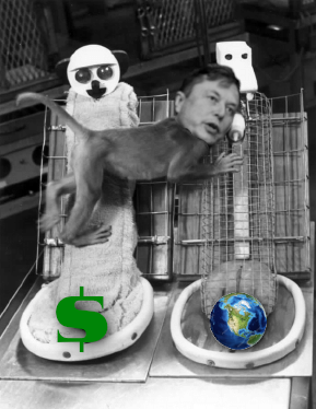 Elon Harlow Fenton Musk